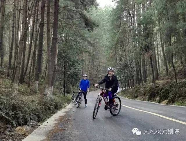 文凡带你玩转“一价全包”轻奢之旅