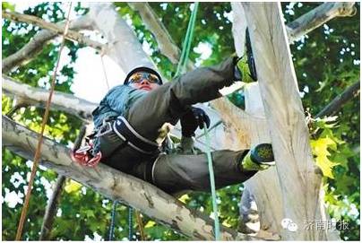 厦大爬树选修课,高校爬树的课程