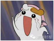 厦大爬树选修课,高校爬树的课程