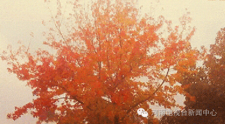 假期安全小贴士请查收,假期天气安全关注事项