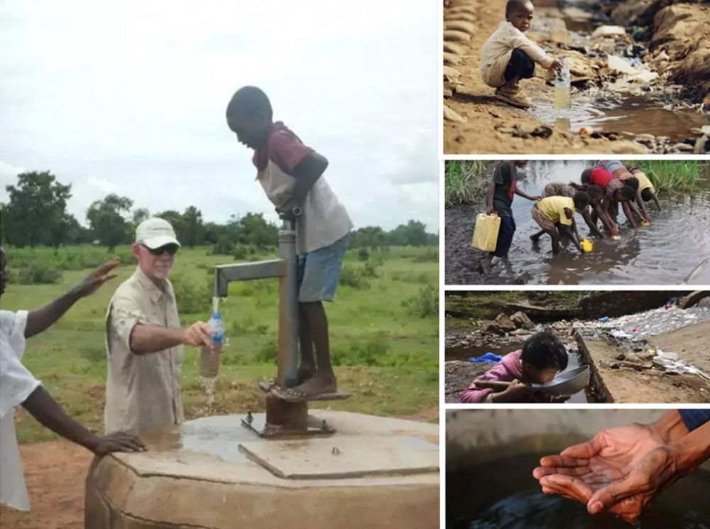 不懂常识是书呆子吗,有人说认真学习的是书呆子怎么怼