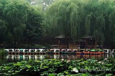 亦分享金秋迎佳节，游园品文化，全市文化活动风景区任你嗨~~