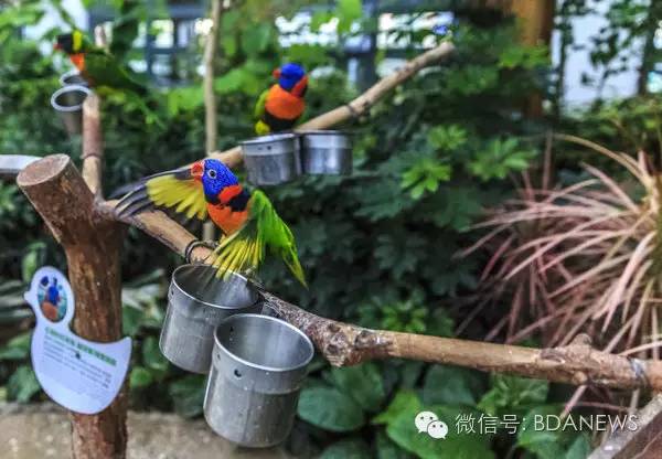 亦分享金秋迎佳节，游园品文化，全市文化活动风景区任你嗨~~