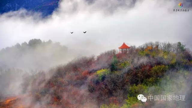 寻找一抹秋色,寻找不一样的质感