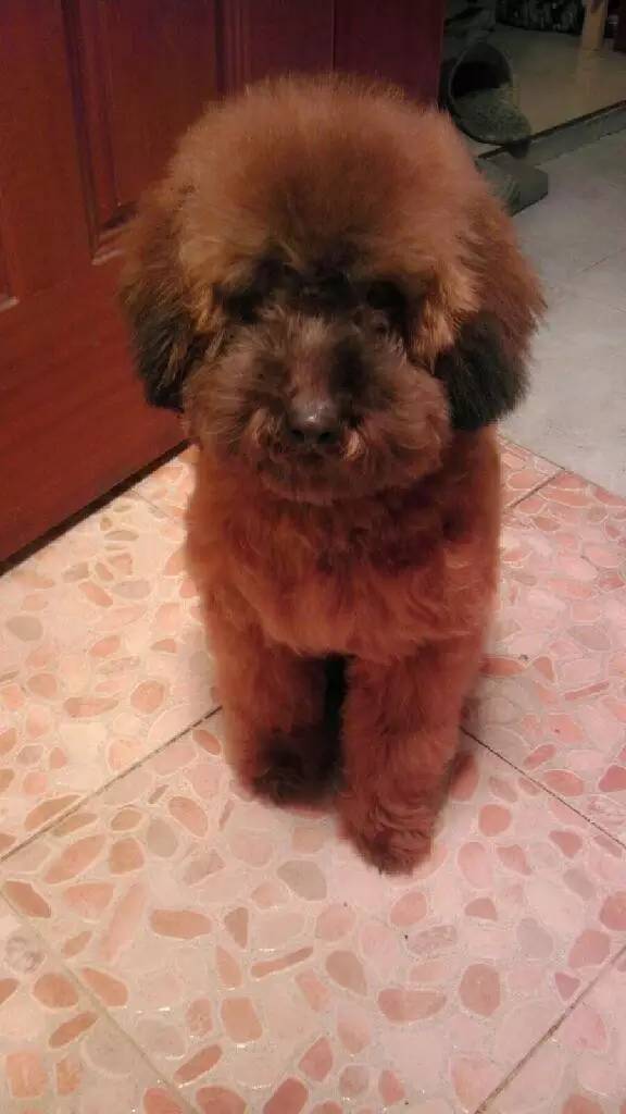 从出租屋搬到自己已经住过的家,从出租房搬到新家视频