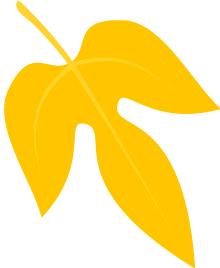 有问必答疾病知识,风湿患者问答