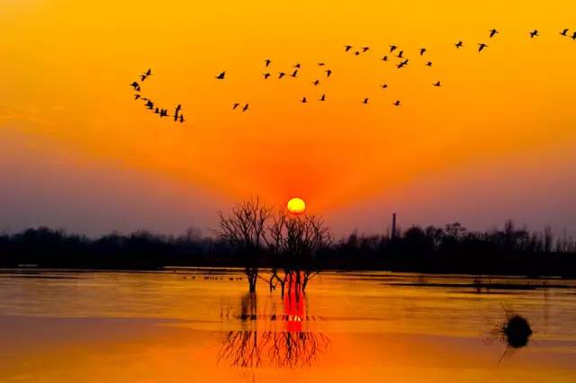 何处合成愁离人心上秋全文,离人心上秋萧萧