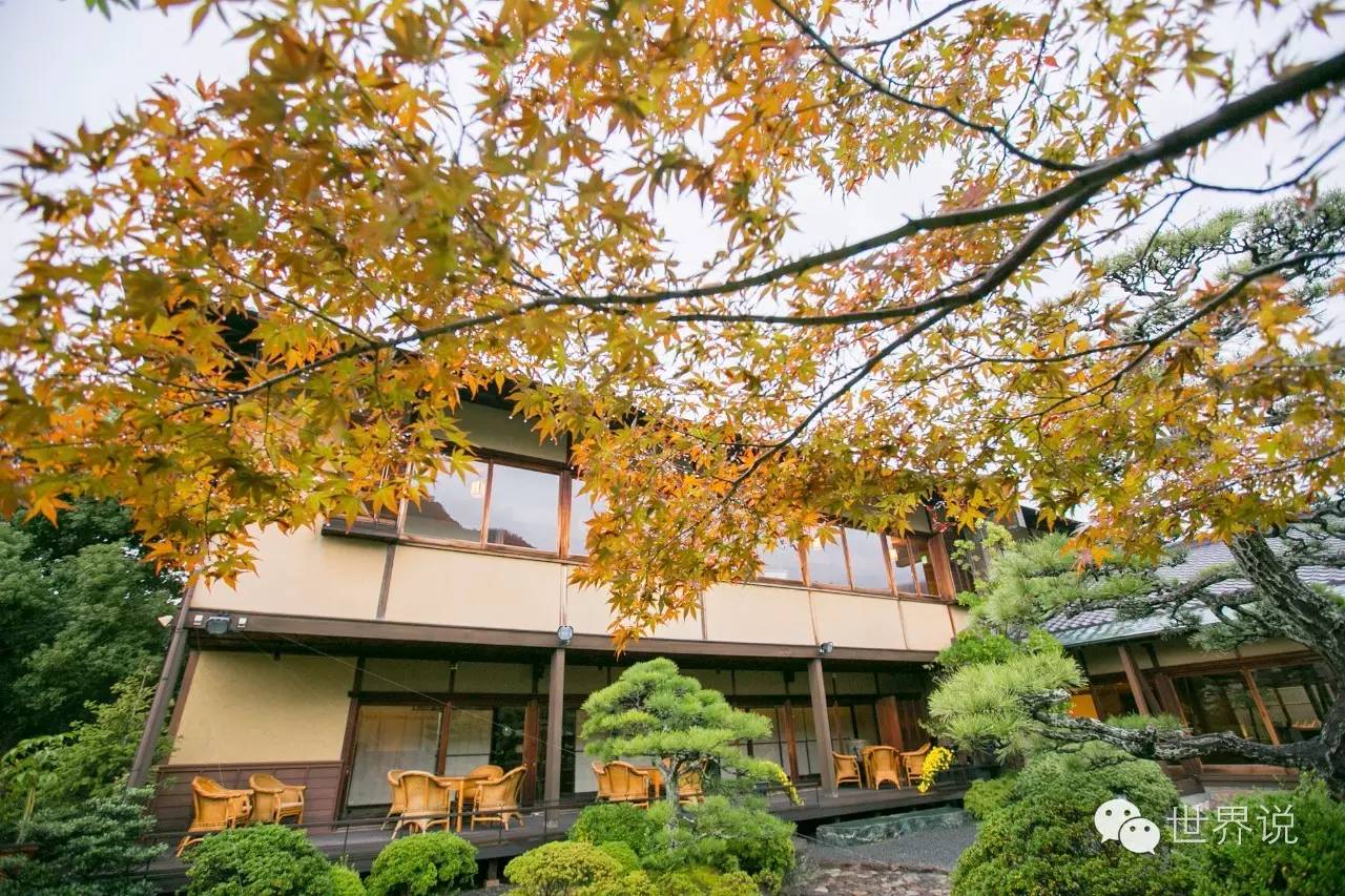 福原爱大婚视频,福原爱的几段婚姻