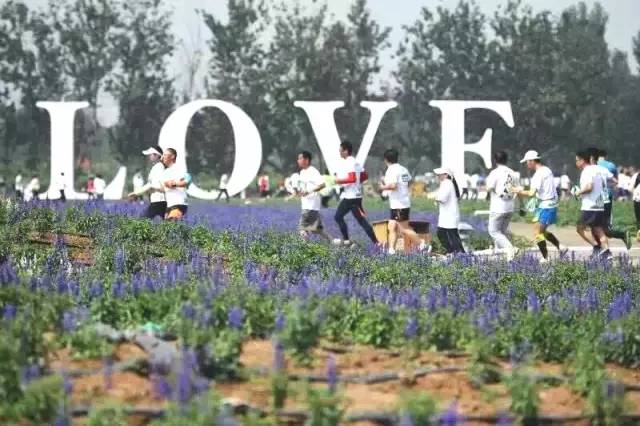 中国主要的跑步赛事是哪些,近期跑步赛事有哪些