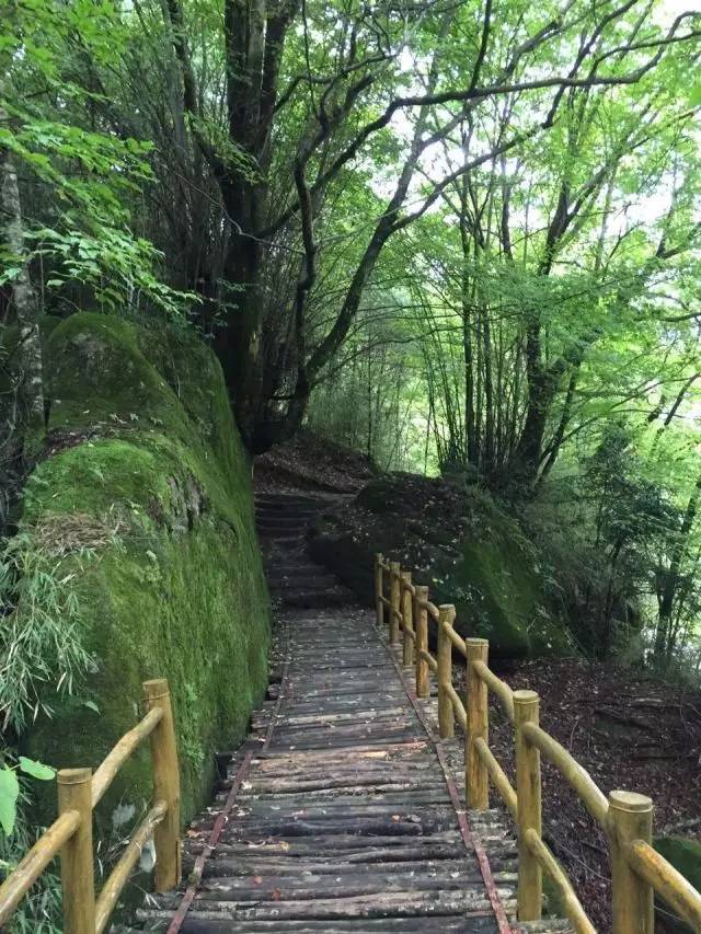 任放旅游天地云雾山——陕南的香格里拉