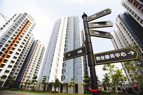 东莞市青年人才公寓在哪里,东莞青年公寓租房