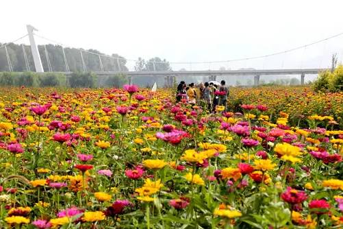沈阳秋季哪好玩,秋天沈阳市区风景最好的地方
