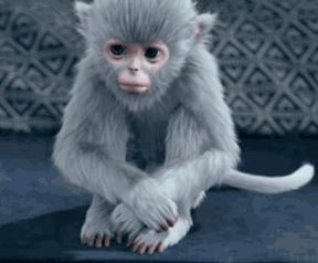 没想到你是这样的神狐小七！《青云志》灵（萌）兽（宠）大合集