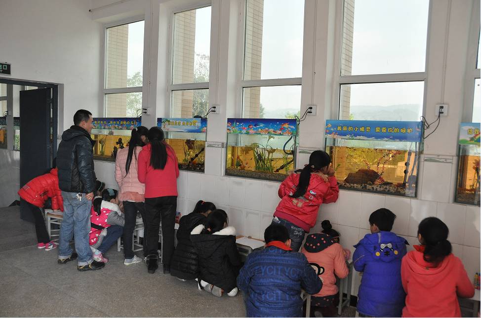 走进最美校园澄江小学：魅力乡村教育托起小龙娃灿烂的明天