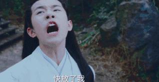 没想到你是这样的神狐小七！《青云志》灵（萌）兽（宠）大合集