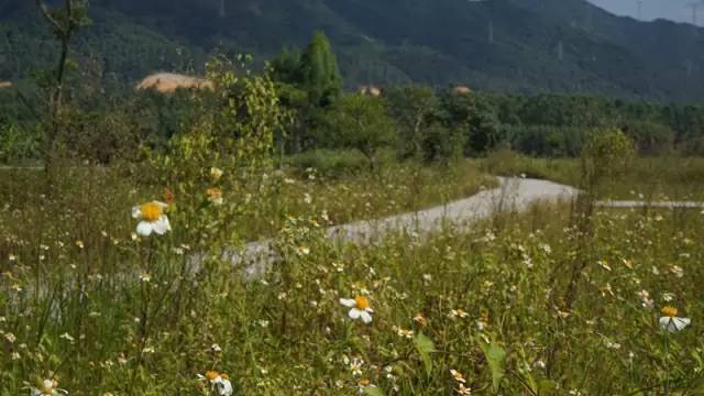 乡村度假民宿设计方案,浙江度假民宿设计方案推荐