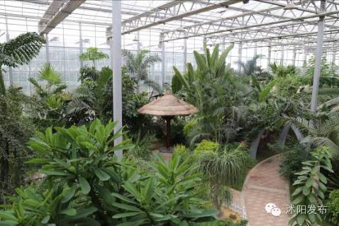 这个秋天遇见了怦然心动,这个秋天遇见最美的你