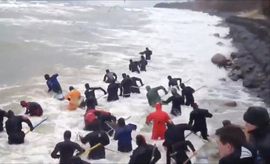 俄罗斯哪个地方遍地黄金 (俄罗斯遍地都是黄金的地方)