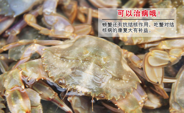 帝王蟹和海王蟹哪个更厉害,春节帝王蟹和波龙哪个更值得吃