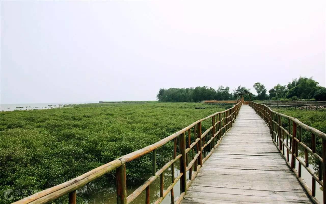 玩出冲浪的感觉,广西最美海边沙滩推荐