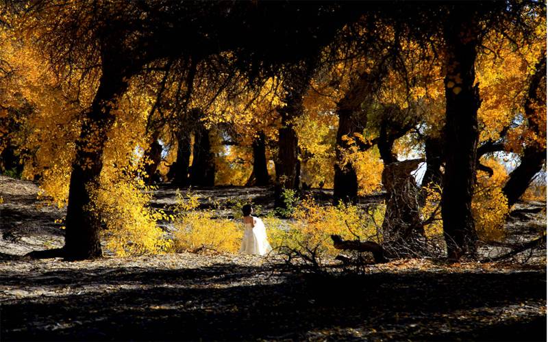 国庆特别策划②乐游·邂逅深秋醉美的内蒙古