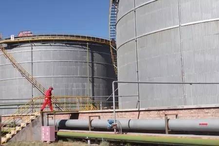 油红人|那个“不懂油的月半子”