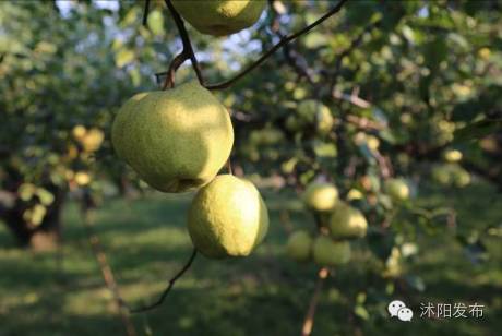 这个秋天遇见了怦然心动,这个秋天遇见最美的你