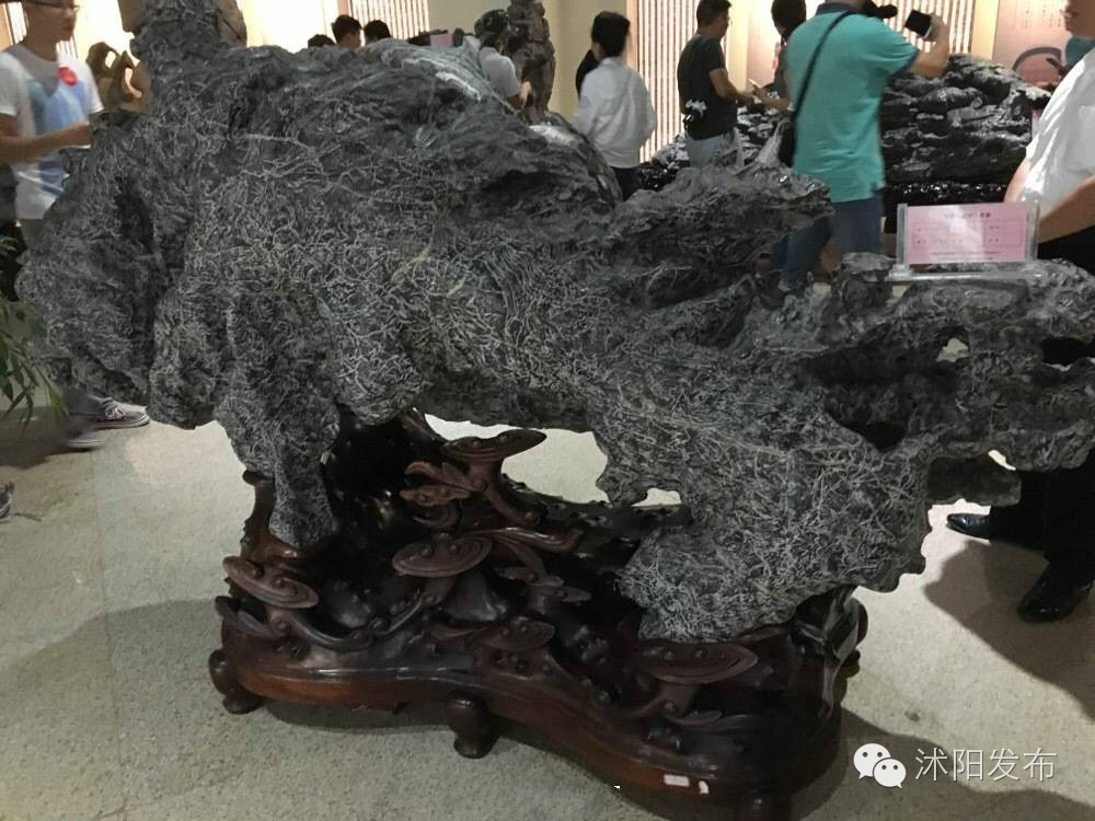 这个秋天遇见了怦然心动,这个秋天遇见最美的你