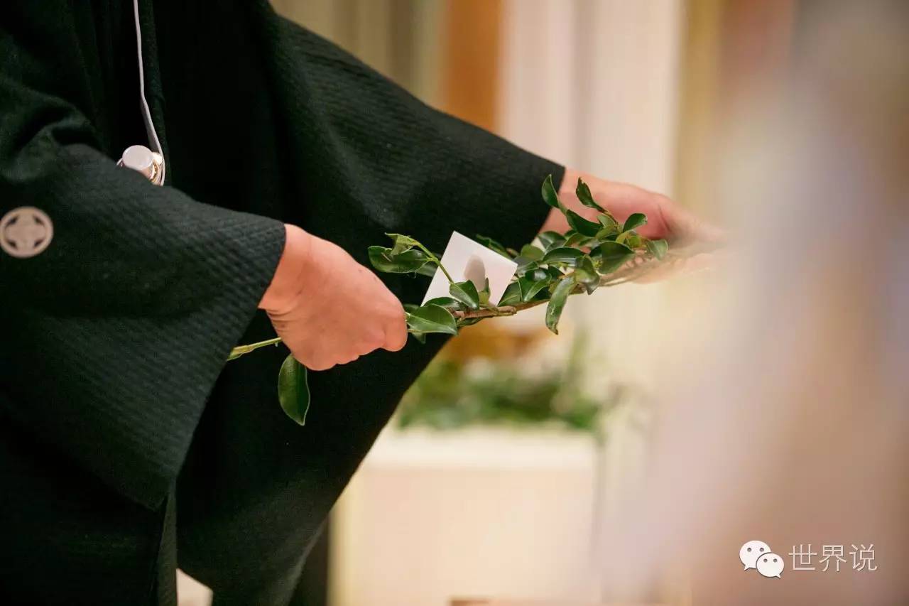 福原爱大婚视频,福原爱的几段婚姻