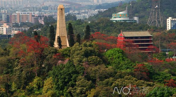 广州重阳登高最佳地点查询,九九重阳节登高日