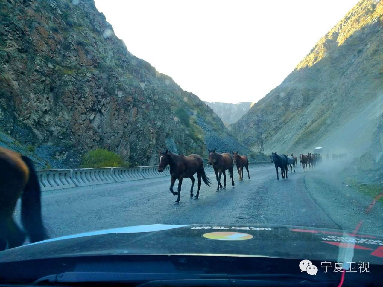 同样是600多公里路程，在这里要比国内多花近一倍的时间|小杜丝路行⑯