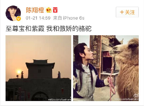 围观大波儿明星扎堆来宁夏，他们都爱晒点啥？