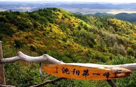 沈阳秋季哪好玩,秋天沈阳市区风景最好的地方