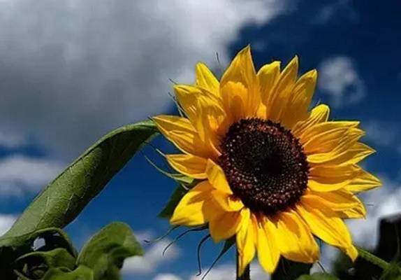 沈阳秋季哪好玩,秋天沈阳市区风景最好的地方