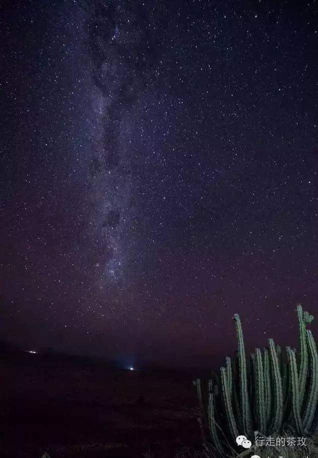 约伴自驾新疆,约伴出行西藏旅游