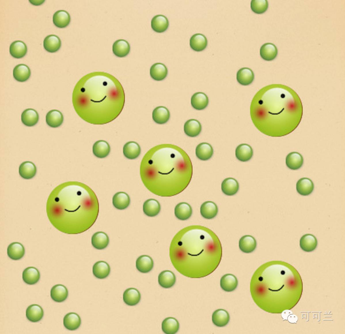 可可兰化妆品怎么样,可可蓝近期空瓶系列