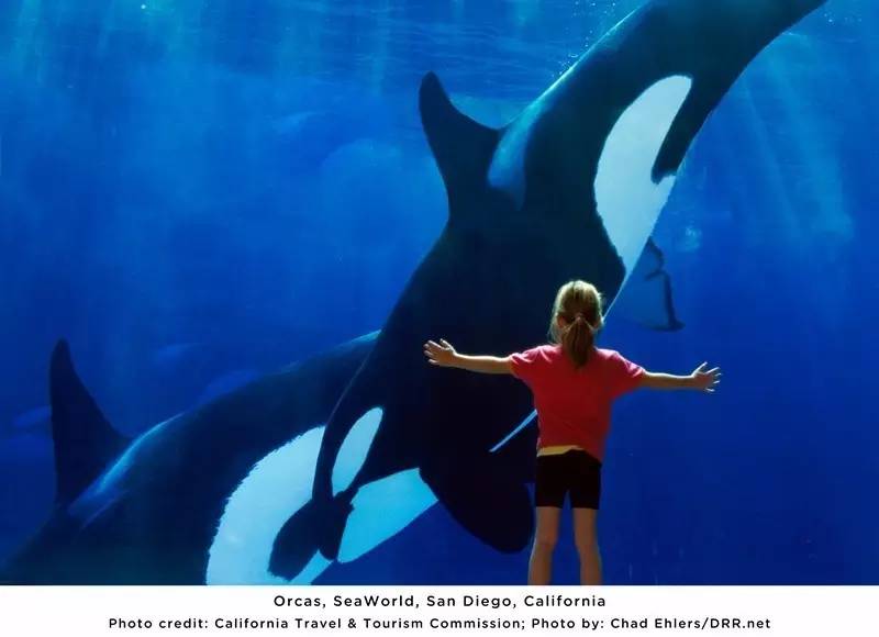 川航发布成都直飞洛杉矶新航线：10月17日首航！往返价2899元！（不含税）