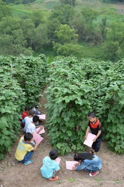 走进最美校园澄江小学：魅力乡村教育托起小龙娃灿烂的明天