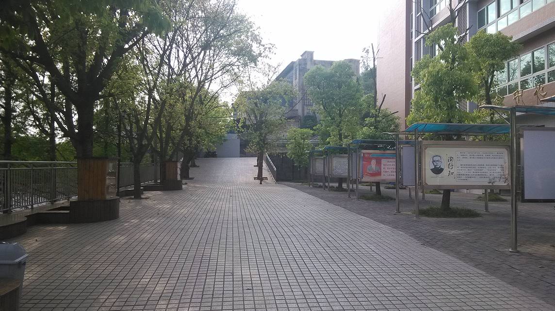 走进最美校园澄江小学：魅力乡村教育托起小龙娃灿烂的明天