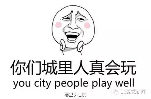 我伙呆!开着开着就饿了!两货车停高速应急车道,4人下车做饭...