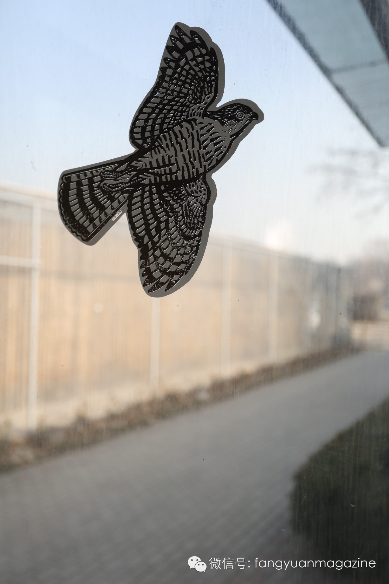 猛禽行程,400多万猛禽