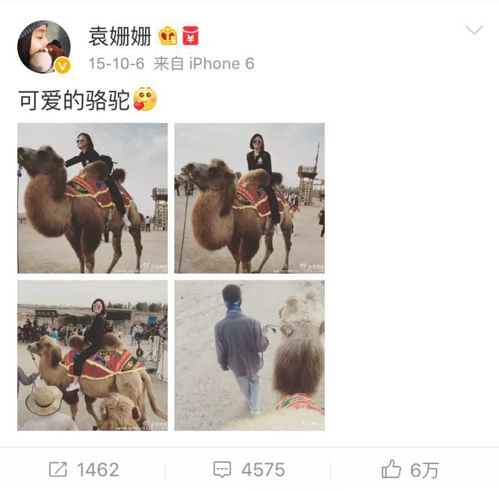 围观大波儿明星扎堆来宁夏，他们都爱晒点啥？