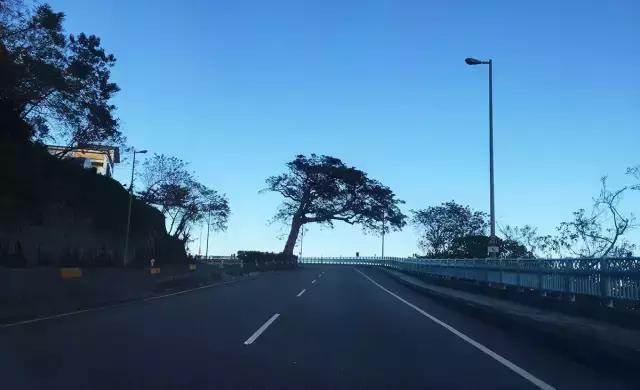 台湾旅游租车攻略,台湾自驾游租车攻略大全视频