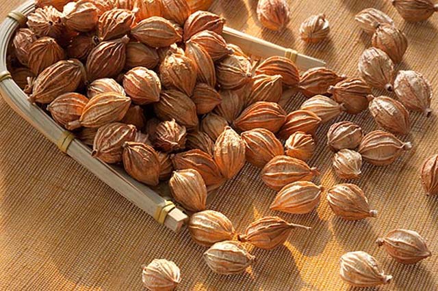 干咳无痰可以吃黄龙止咳颗粒吗,肺热干咳无痰吃什么止咳糖浆好