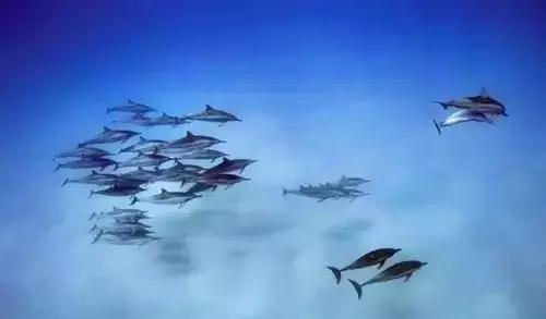 西安国庆大唐不夜城有什么节目,西安国庆有什么玩的