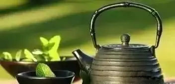 来吧来吧，崖柏吃、喝、抽、睡皆可以！