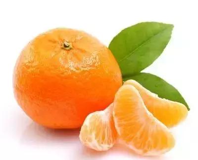 健康养生食物你学会了吗,24种健康养生的食物