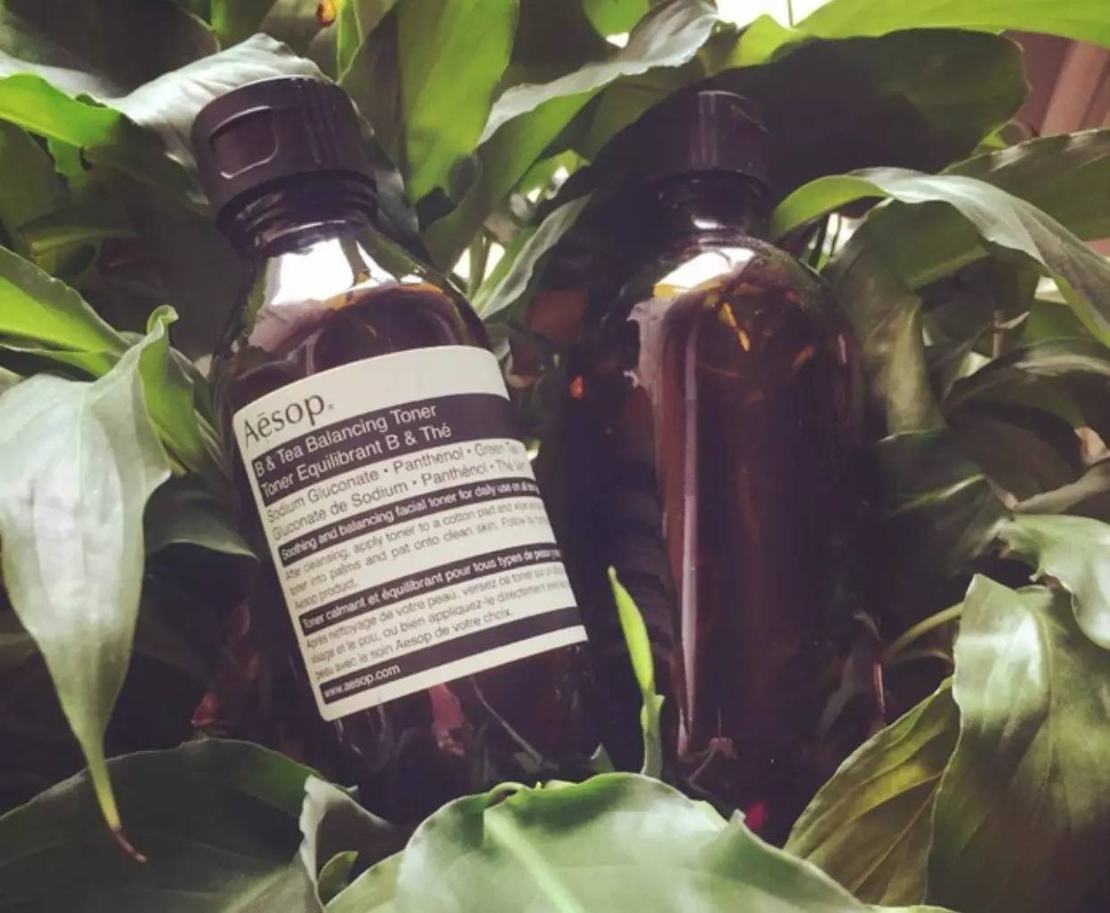 澳洲aesop是什么牌子,澳洲aesop化妆品怎么样