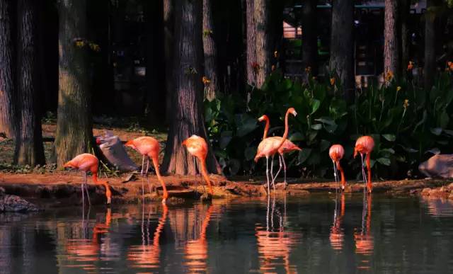 武汉十大漂亮女神,武汉最漂亮的十个女人