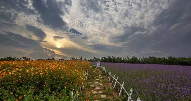 武汉十大漂亮女神,武汉最漂亮的十个女人